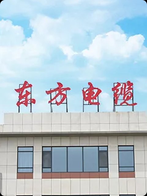 魔点科技客户案例:东方电缆生产基地安防通行管理